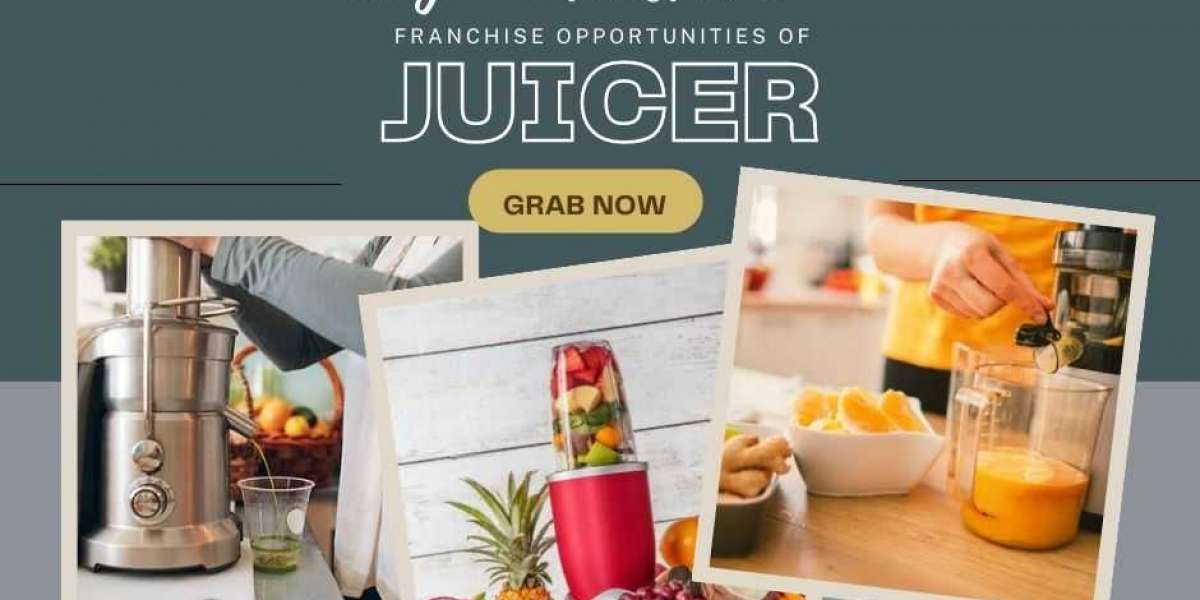 Are You Interested In Taking Up A Juicer franchise?
