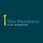 The Plumber Profile Picture