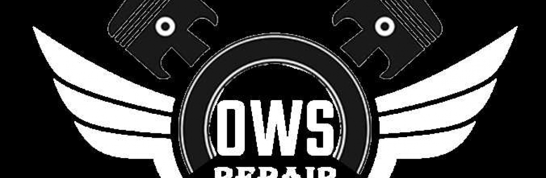 ows Owsrepair Cover Image