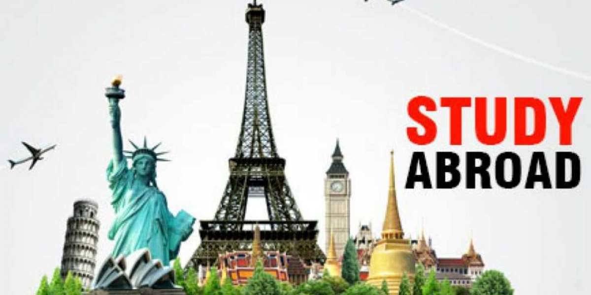 From Dreams to Reality: Let Us Shape Your Study Abroad Experience!