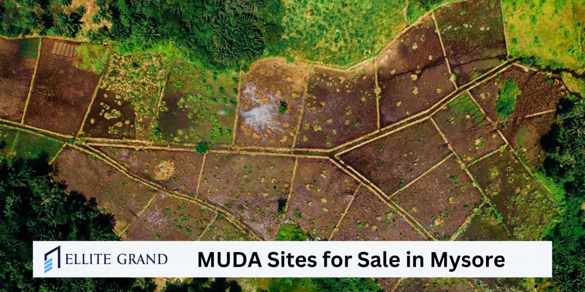 Advantages Of Investing In MUDA Sites: Unlocking Growth And Prosperity