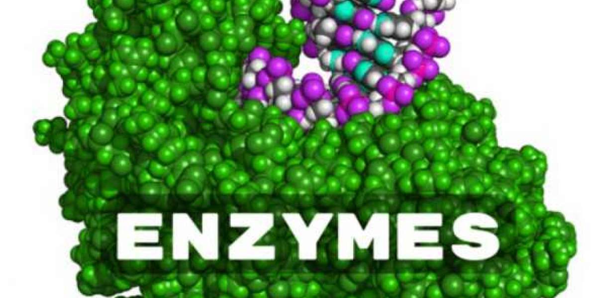 Enzymes Market Global Industry Growth, Forecast to 2027