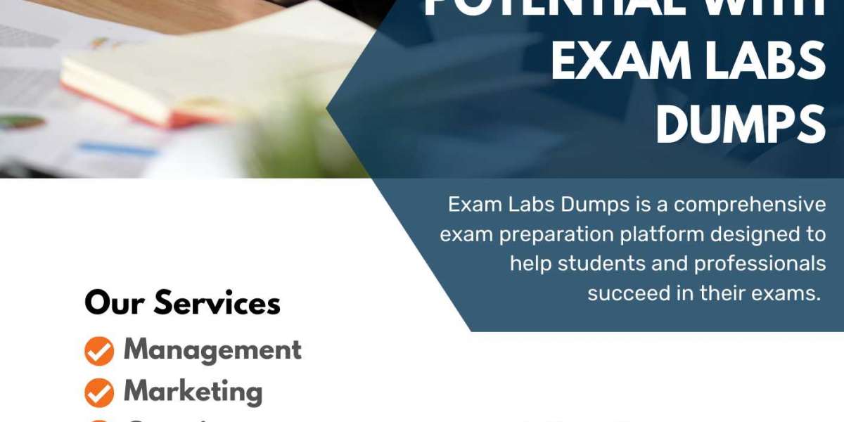 Exam Labs Dumps Demystified: The Art of Exam Prep