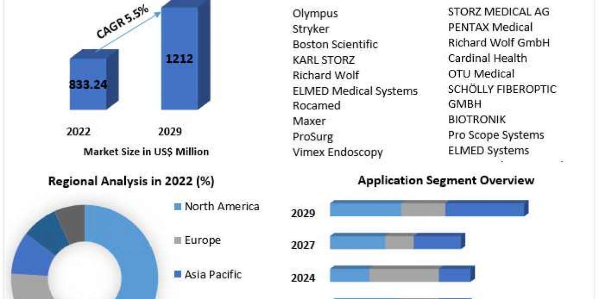 Flexible & Semi-Rigid Ureteroscopy Market Industry Outlook, Size, Growth Factors, and Forecast To, 2029