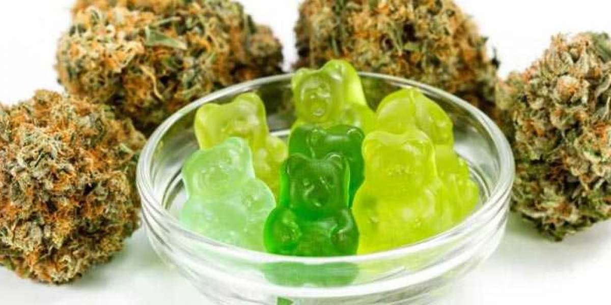 Can Drug Dogs Detect CBD Gummies? Here's What You Need to Know