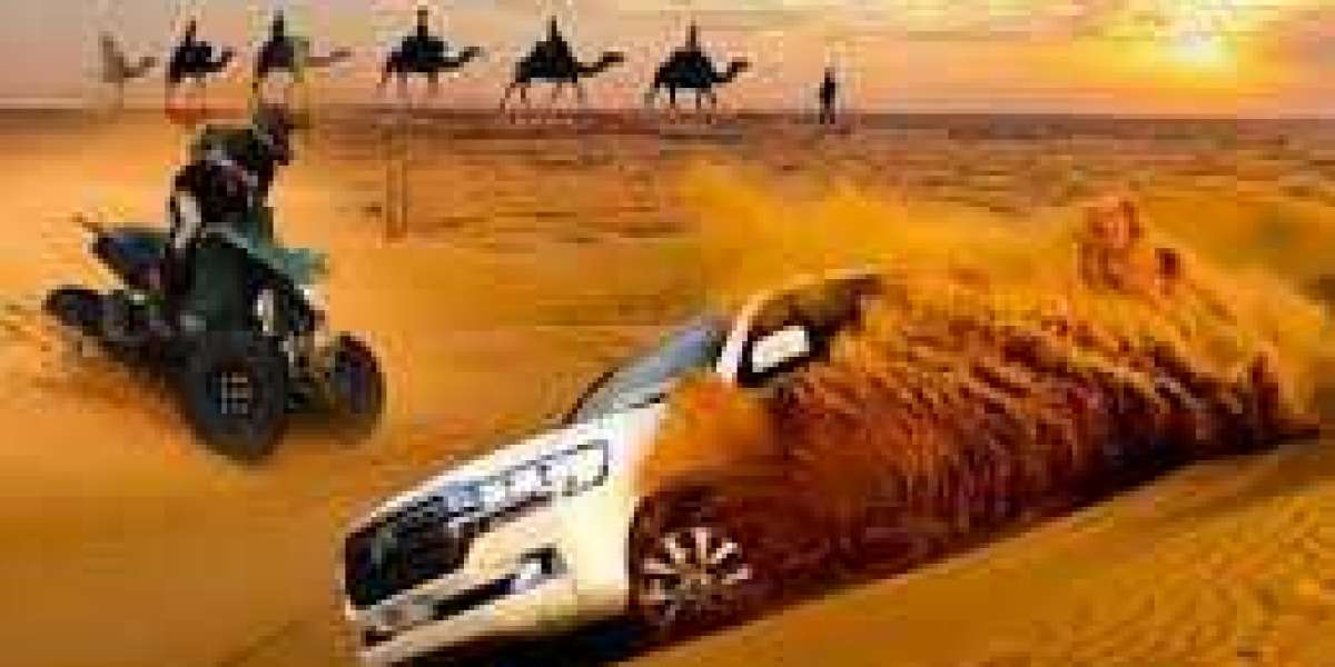 Experience the Untamed Beauty of Dubai: Book Your Desert Safari