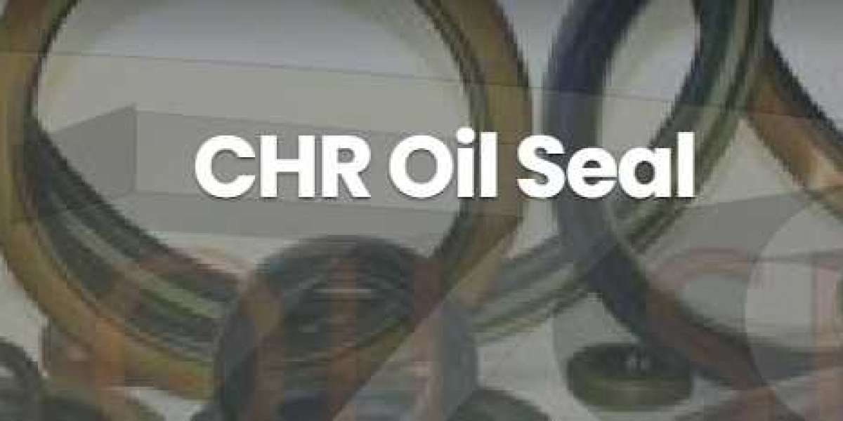 Sealing Excellence: The National Impact of CR Oil Seals