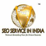 SEO Company in India | SEO Services Profile Picture
