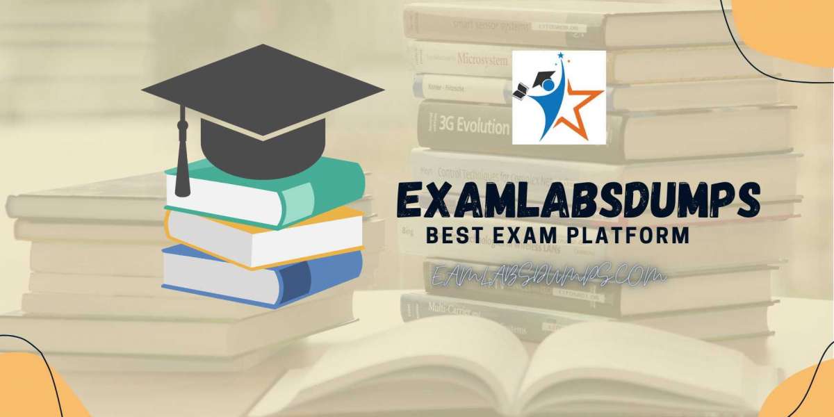 Exam Labs Dumps Unravelled: Your Path to Greatness