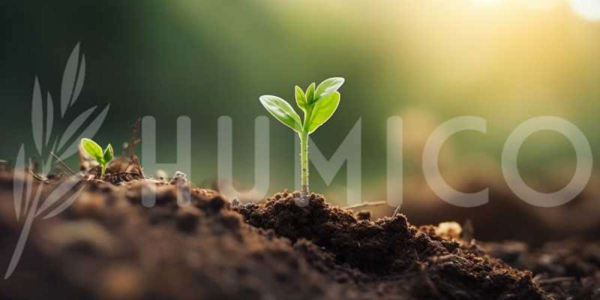The Science Behind Humic Amino Shiny Balls: Understanding Organic Fertilizers