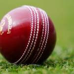 online cricket Profile Picture
