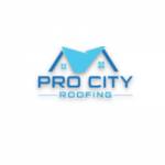 Pro City Roofing Profile Picture
