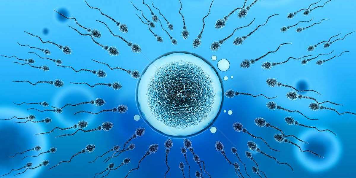 Understanding the Effects of Daily Ejaculation: What Happens When We Release Sperm Regularly