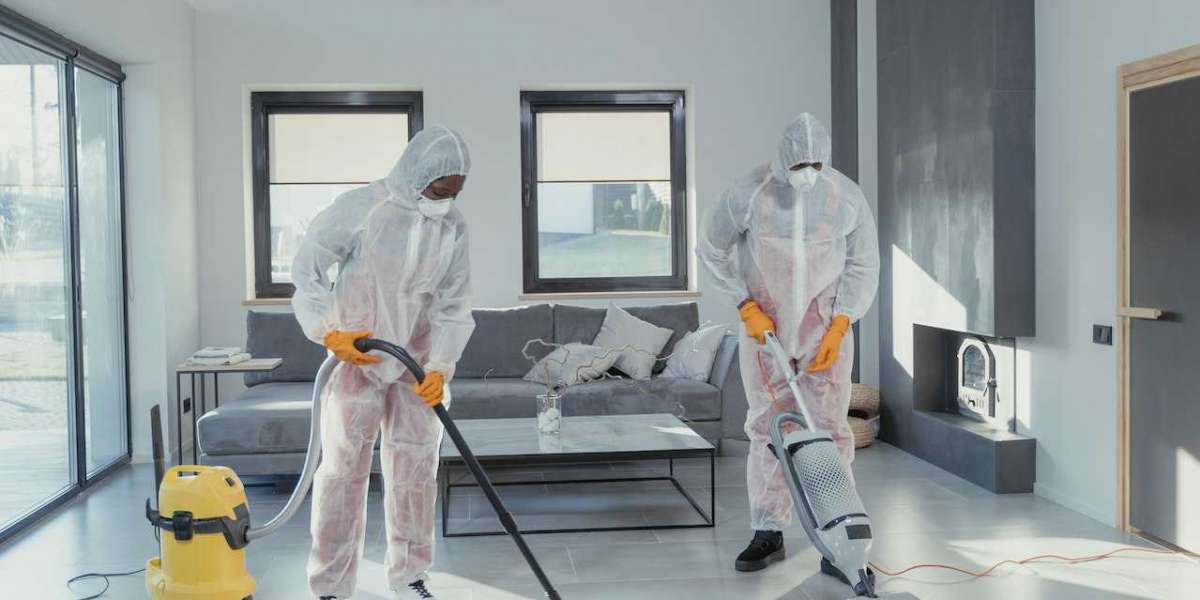 Creating a Healthier Home with Professional Carpet Cleaning