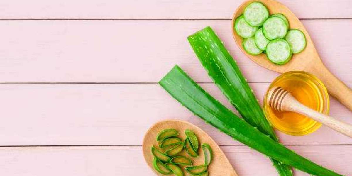 Aloe Vera Products Market Overview and Investment Analysis Report Till 2030