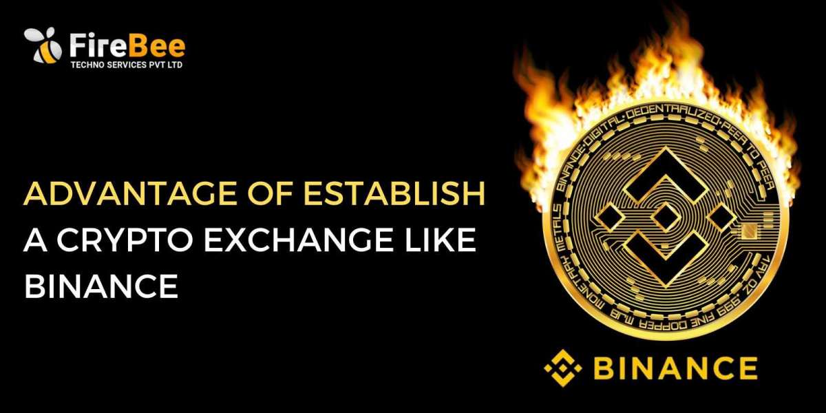 Advantages of establish a crypto exchange like Binance