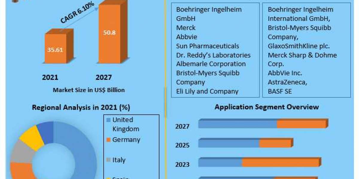 Europe Active Pharmaceutical Ingredients Market Potential Effect on Upcoming Future Growth, Competitive Analysis and For