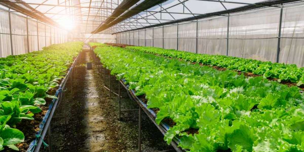 Organic Farming Market is Booming Across the Globe by Share, Size, Growth, Segments and Forecast 2023-2030