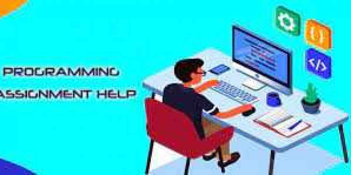 Programming Assignment Help: Excelling in the Digital World