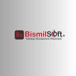 Bismilsoft Pvt Ltd Profile Picture