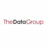 The Data Group Profile Picture
