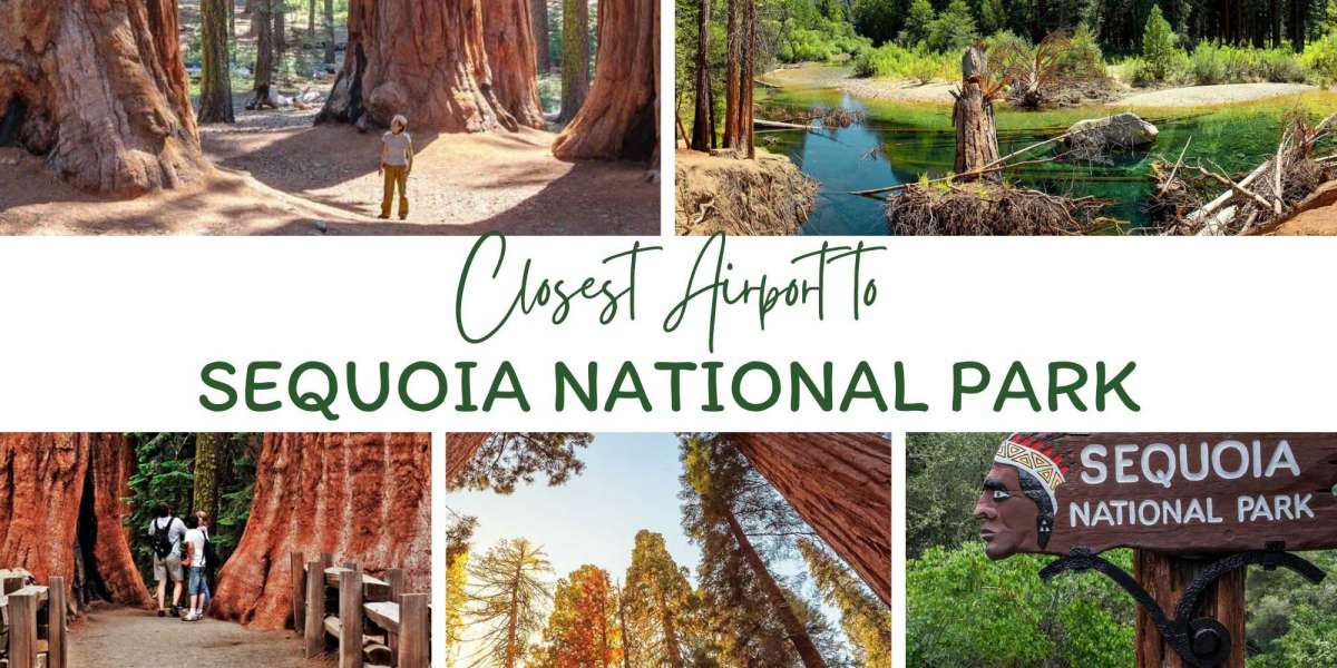 Nearest Airport to Sequoia National Park (A Complete Guide)