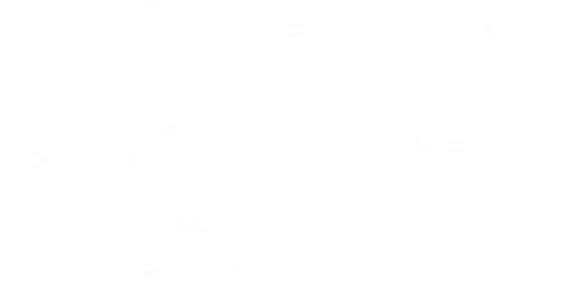 In terms of interior design, what are the dominant aesthetics and design elements that the Affinity at Serangoon showfla