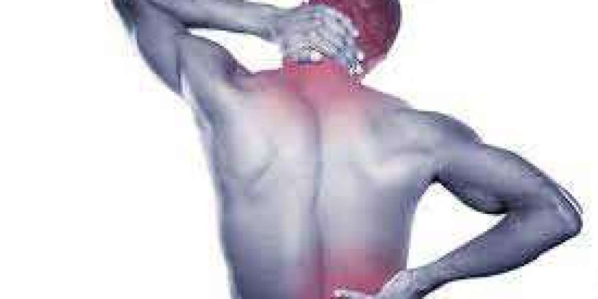 Empowering Lives: Innovations and Trends in the Fibromyalgia Treatment Market