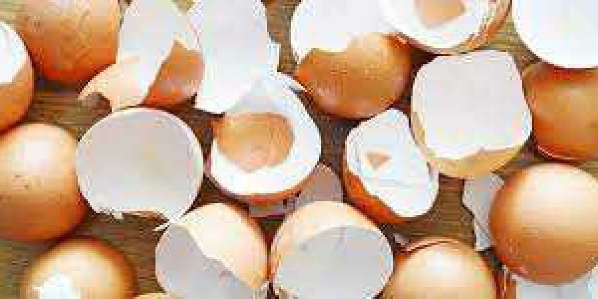 Asia Pacific Eggshell Membrane Market Size, Share, Trend and Forecasts to 2032.