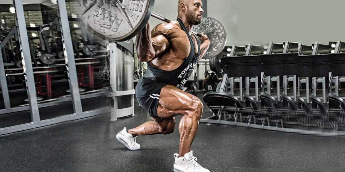 A complete guide for a beginner leg workout at gym and home