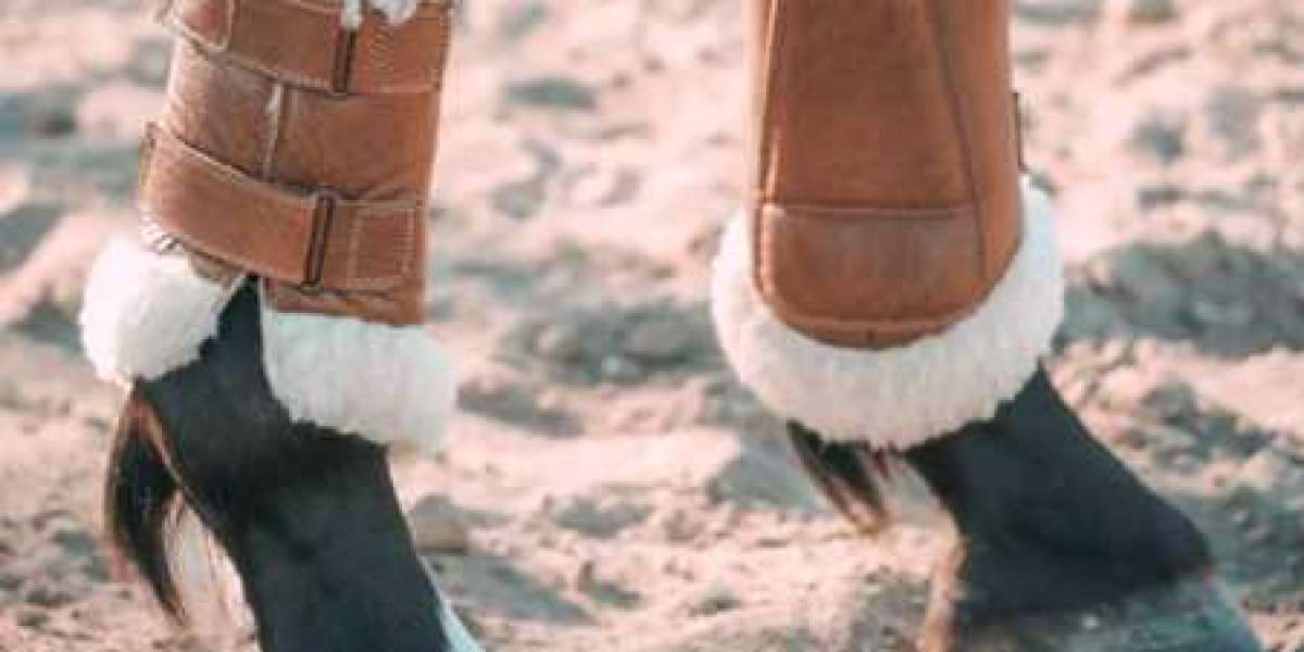 Choosing the Right Horse Boots for Every Discipline
