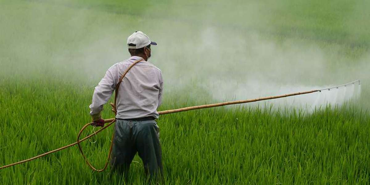 Global Insecticides Market Expected to Reach Highest CAGR By 2030