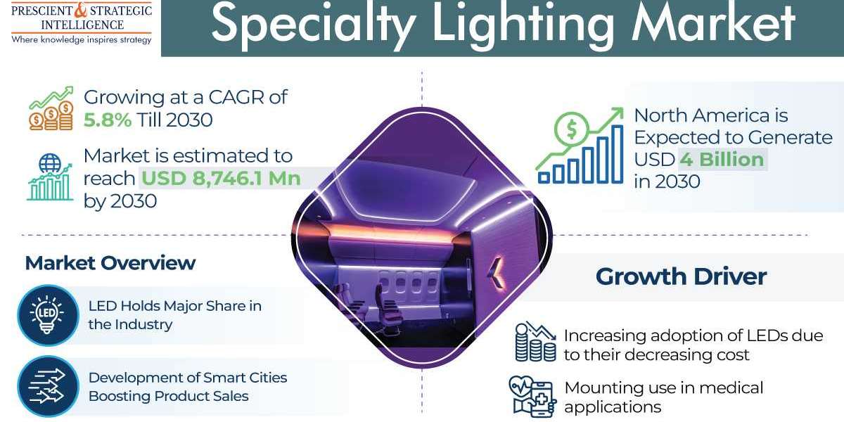 Illuminating Possibilities: A Comprehensive Analysis of the Specialty Lighting Market