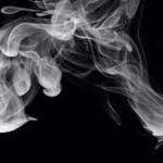 vferda Profile Picture