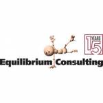 Equilibrium Consulting Profile Picture