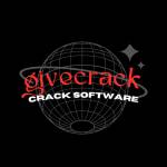 give crack Profile Picture