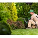 Landscapers in USA Profile Picture