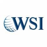 WSI Optimized Web Solutions Profile Picture