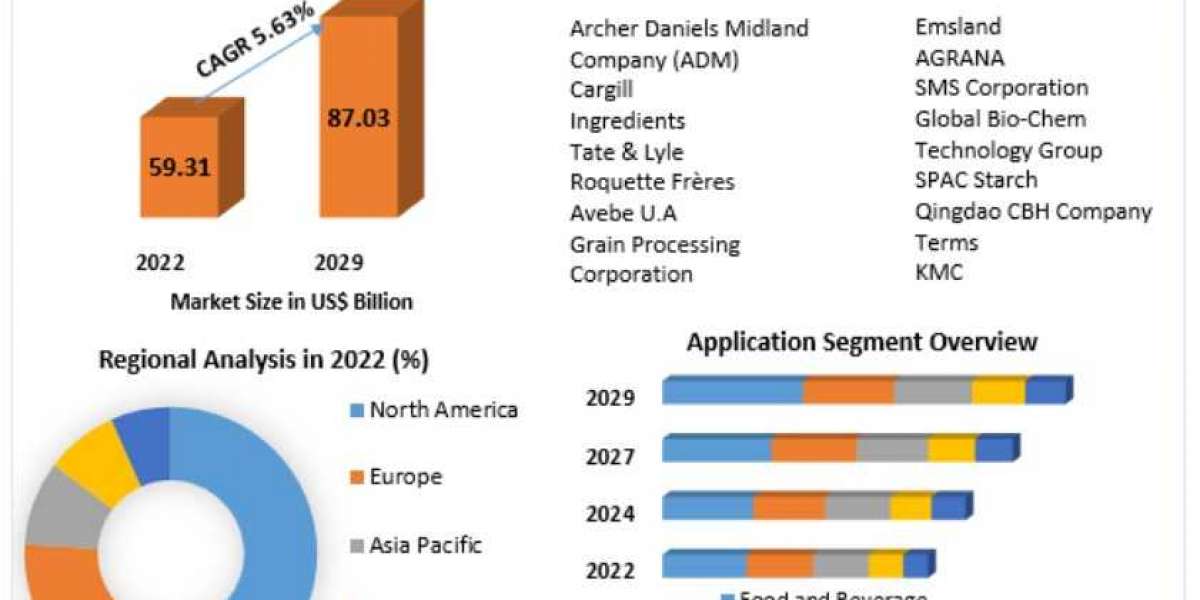 Starch Market Size, Share, Trend, Forecast, & Industry Analysis 2029
