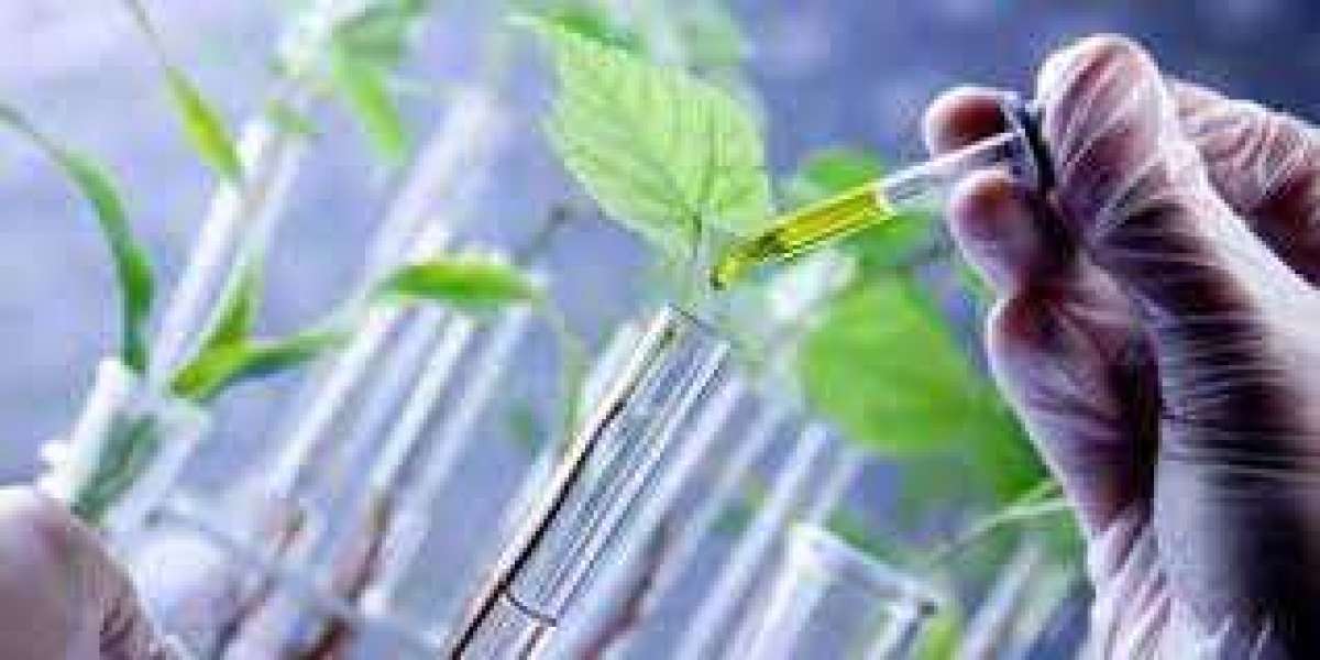 Molecular Breeding Market : Size ,Share By  Competitive Analysis, and Forecast 2023-2030