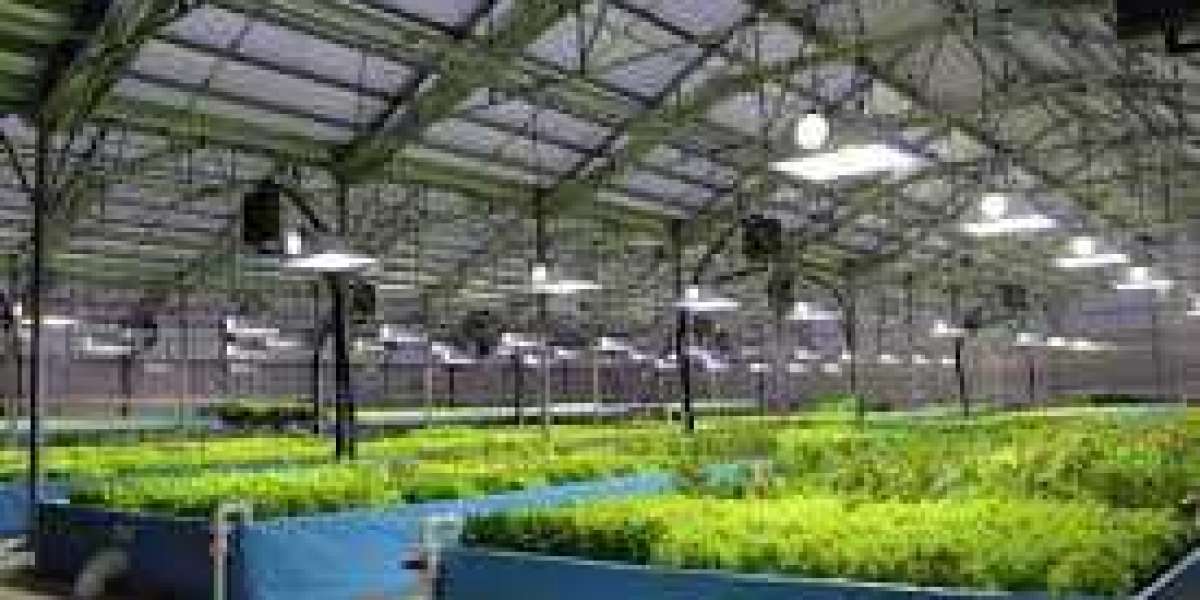 Aquaponics Market is expected to register a CAGR of 13.4% from 2022 to 2030