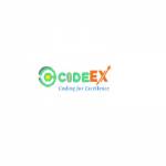 C0deEX Profile Picture