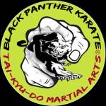 black panther karate Profile Picture