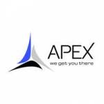 apex seoservices Profile Picture