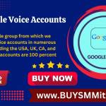 Buy Google Voice Accounts Profile Picture