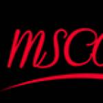 mscoco Hair Profile Picture