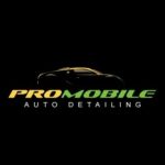 Pro Mobile Auto Detailing Profile Picture