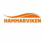 Hammarviken Företagsutveckling Profile Picture
