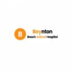 Boynton Beach Animal Hospital Profile Picture
