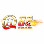 Qh88 Black Profile Picture
